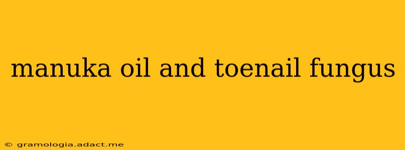 manuka oil and toenail fungus