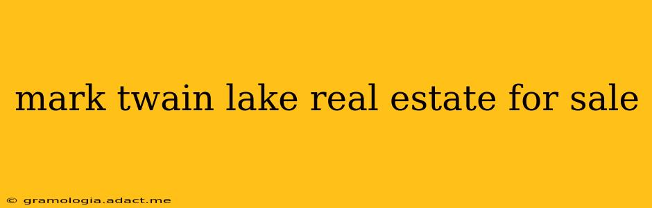 mark twain lake real estate for sale