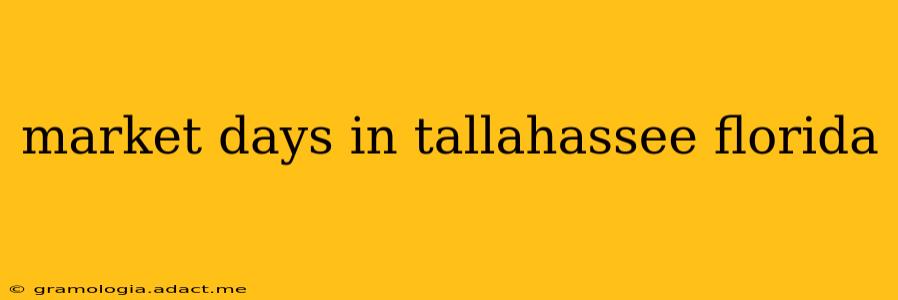 market days in tallahassee florida