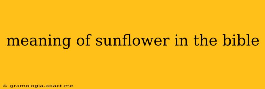 meaning of sunflower in the bible