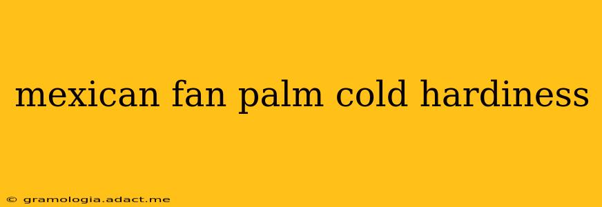 mexican fan palm cold hardiness