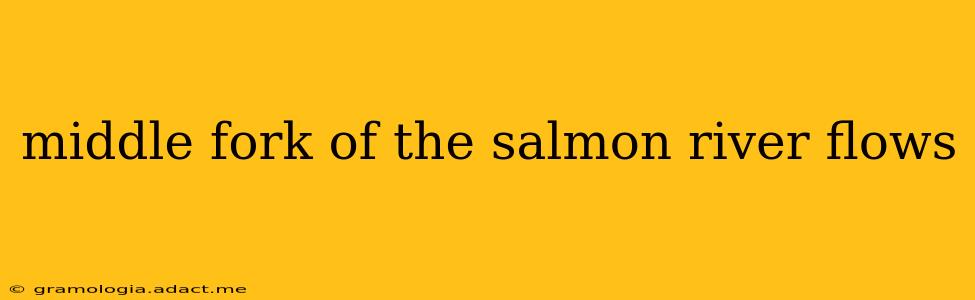middle fork of the salmon river flows