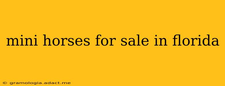 mini horses for sale in florida