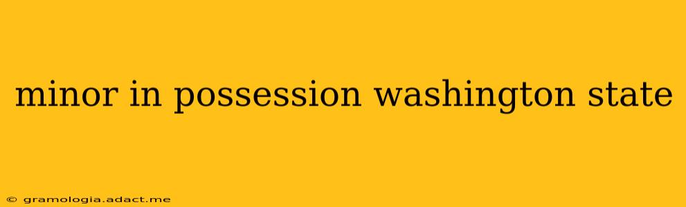 minor in possession washington state