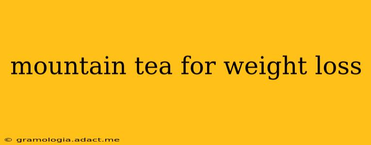 mountain tea for weight loss