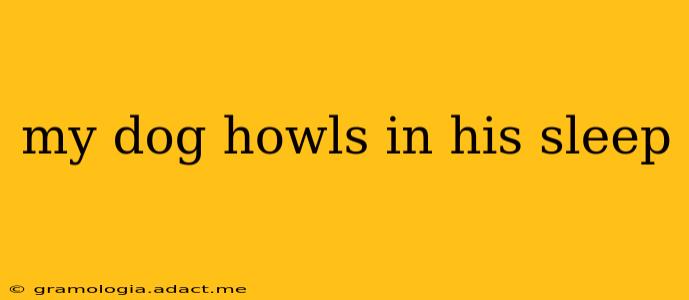 my dog howls in his sleep