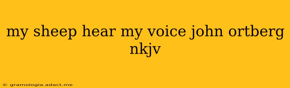 my sheep hear my voice john ortberg nkjv