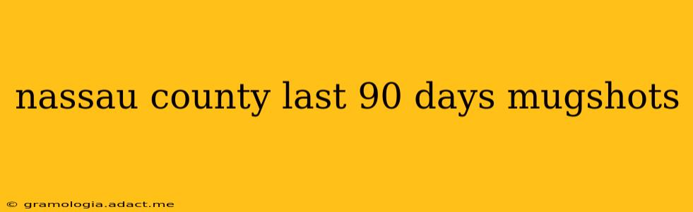 nassau county last 90 days mugshots