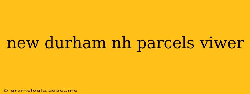 new durham nh parcels viwer