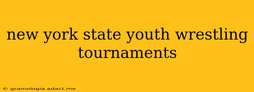 new york state youth wrestling tournaments