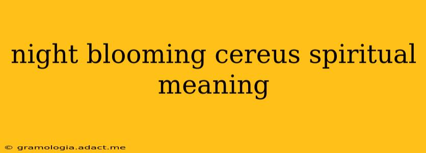 night blooming cereus spiritual meaning