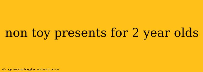 non toy presents for 2 year olds
