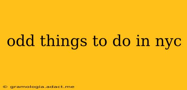odd things to do in nyc