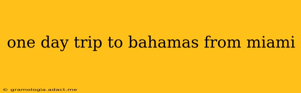 one day trip to bahamas from miami