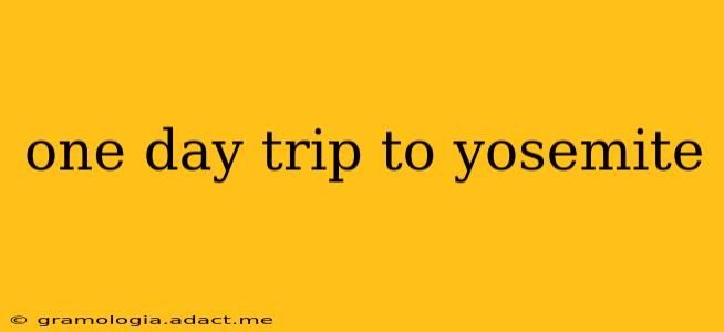 one day trip to yosemite