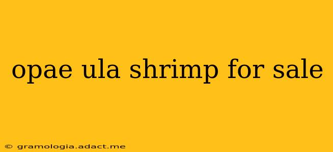 opae ula shrimp for sale