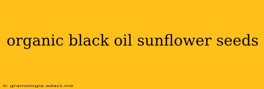 organic black oil sunflower seeds
