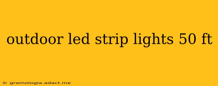 outdoor led strip lights 50 ft