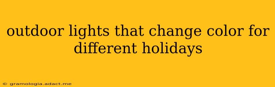 outdoor lights that change color for different holidays