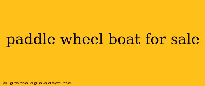 paddle wheel boat for sale