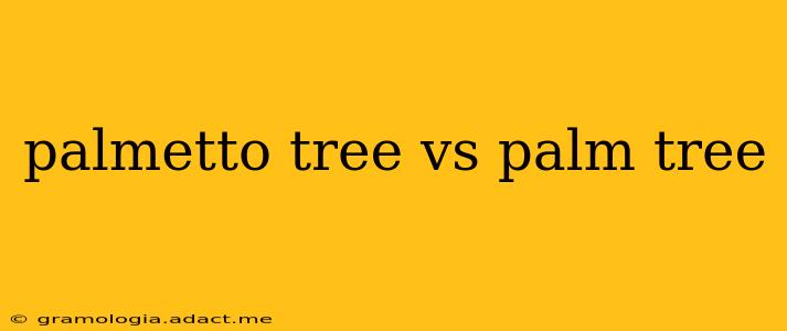 palmetto tree vs palm tree