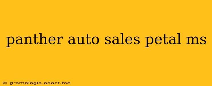 panther auto sales petal ms