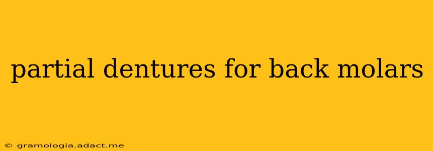 partial dentures for back molars