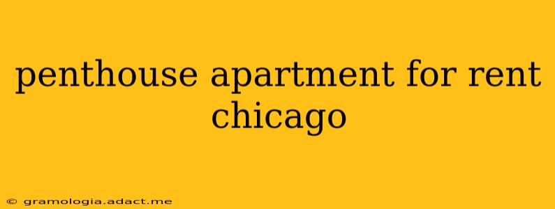 penthouse apartment for rent chicago