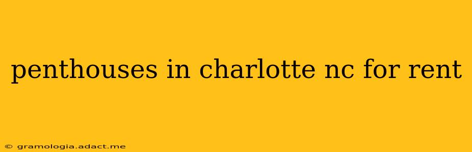 penthouses in charlotte nc for rent