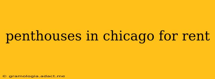 penthouses in chicago for rent
