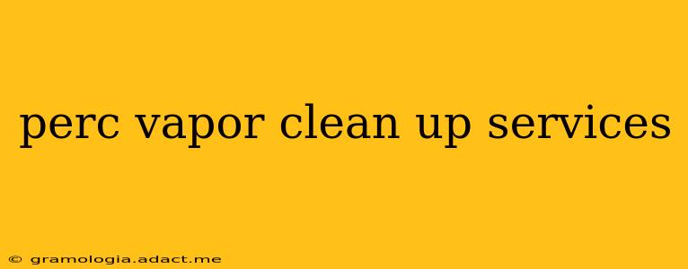 perc vapor clean up services