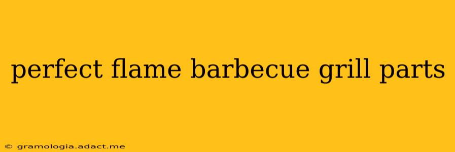 perfect flame barbecue grill parts