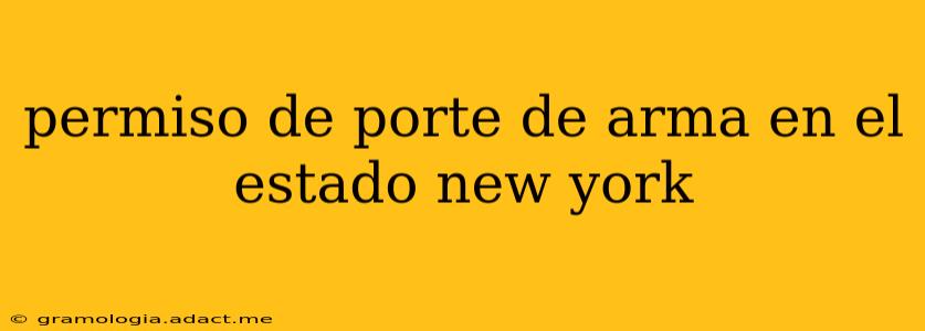permiso de porte de arma en el estado new york