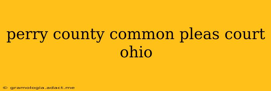 perry county common pleas court ohio