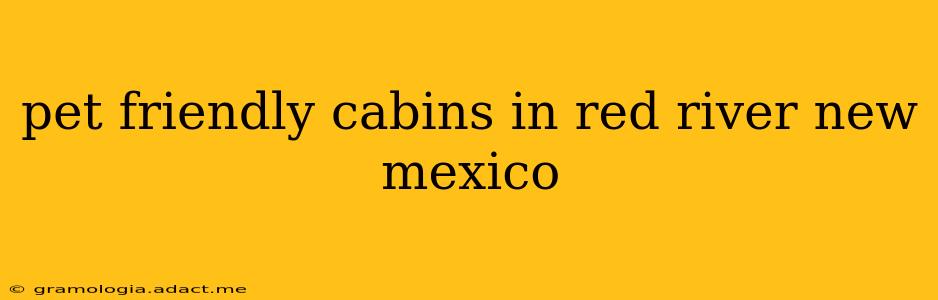 pet friendly cabins in red river new mexico