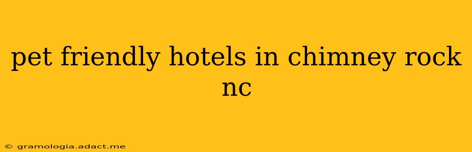 pet friendly hotels in chimney rock nc