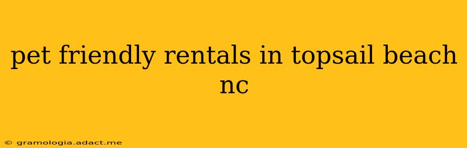 pet friendly rentals in topsail beach nc
