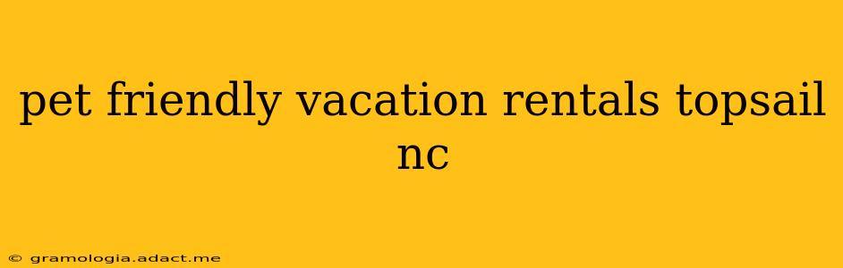 pet friendly vacation rentals topsail nc