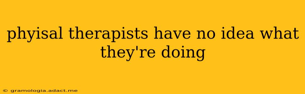 phyisal therapists have no idea what they're doing