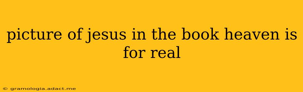 picture of jesus in the book heaven is for real