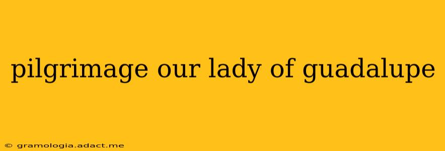 pilgrimage our lady of guadalupe