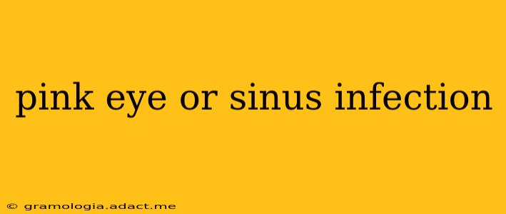 pink eye or sinus infection