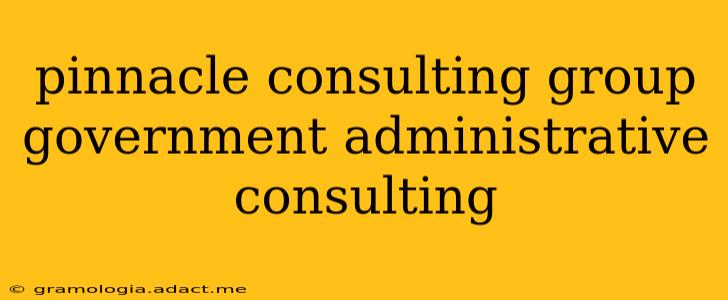 pinnacle consulting group government administrative consulting