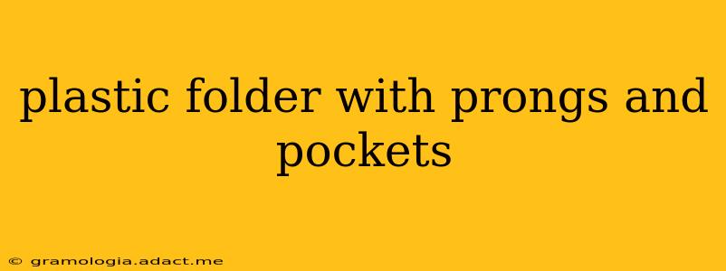 plastic folder with prongs and pockets