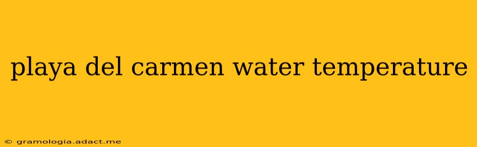 playa del carmen water temperature