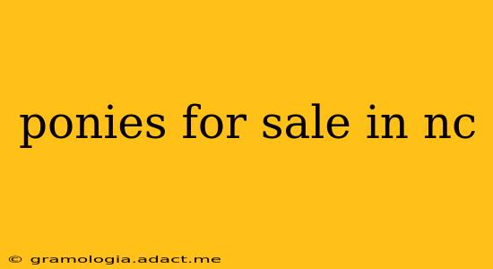 ponies for sale in nc