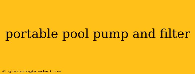 portable pool pump and filter