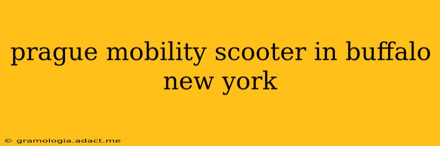 prague mobility scooter in buffalo new york