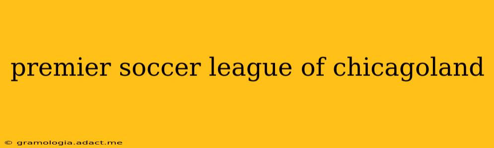 premier soccer league of chicagoland
