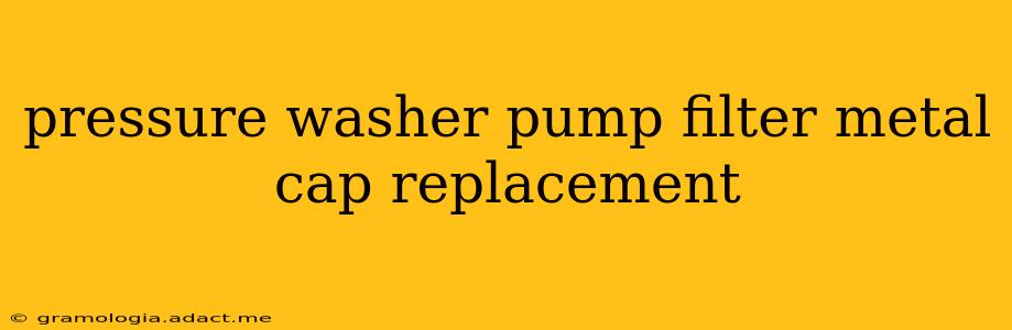 pressure washer pump filter metal cap replacement